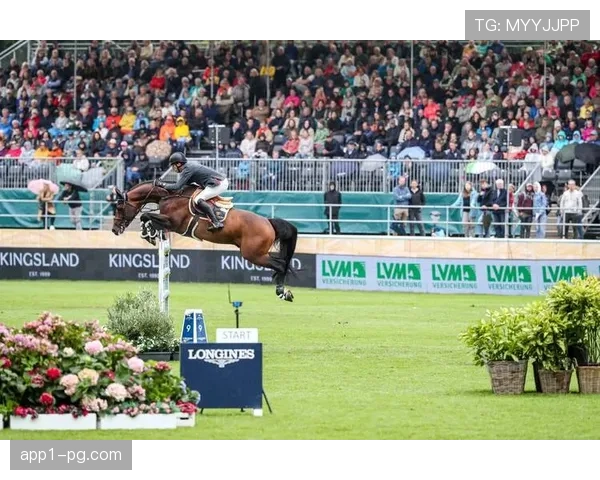 丹麦霍伊别尔埃里克森老将坐镇 达姆斯高林德斯特伦年轻冲击